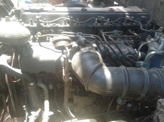 ขาย 6 ล้อ ISUZU NPR 120แรง รถบ้านแท้ (NPR66P)(4HF1) ช่วงล่างใหญ่F. หน้า+หลัง พวงมาลัยพาวเวอร์ เครื่องแห้ง แน่น แรง คัซซีสวยม่ผุ ไม่ดาม ไม่บาม พร้อมโอน พร้อมใช้งาน