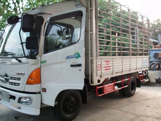 ขาย HINO เมก้า กระบะ