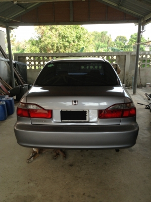 ขาย Honda accord ปี98