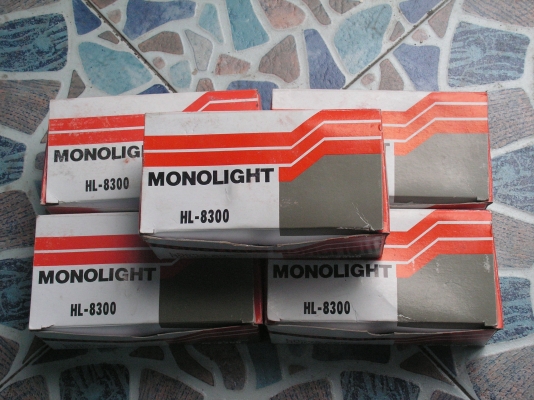 ลูกปิดประตู