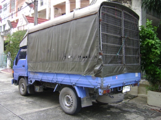 ปี2005 มือเดียว โตโยต้า ไดน่าเครื่อง3L (2800cc.)มีโครงหลังคาตัวรถสีฟ้าน้ำเงิน มีแอร์ พาวเวอร์ ปี2005 มือเดียว โตโยต้า ไดน่าเครื่อง3L (2800cc.)มีโครงหลังคาตัวรถสีฟ้าน้ำเงิน มีแอร์ พาวเวอร์