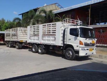 ขาย Hino Mega S500 แม่ลูกไม่ดั้ม เครื่อง 380 กระบะสามมิตร สวยมาก โทร 088-4501277 ขาย Hino Mega S500 แม่ลูกไม่ดั้ม เครื่อง 380 กระบะสามมิตร สวยมาก โทร 088-4501277