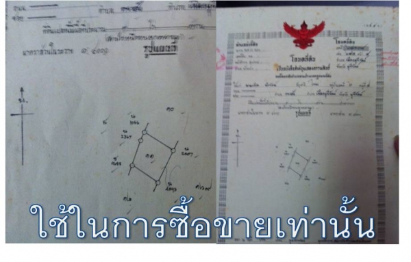 ขายที่ดินทำนา หมู่บ้านเครือชุด ต.กระสัง 3ไร่1งานราคาถูก