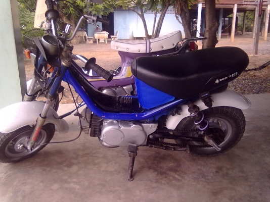 ขายยามมาฮ่าชิปปี้ด่วน เกียรออโต้ลดเหลือ5000บาทด่วน