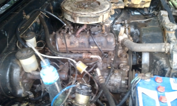 TOYOTA LN 65 ม้ากระโดด ช่วงส้ัน