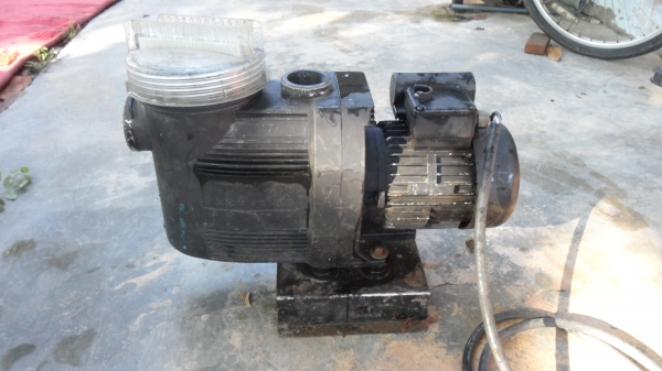 ปั้มสระน้ำ