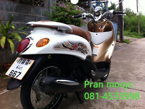 ขายfinoสีขาวน้ำตาล ปี2555