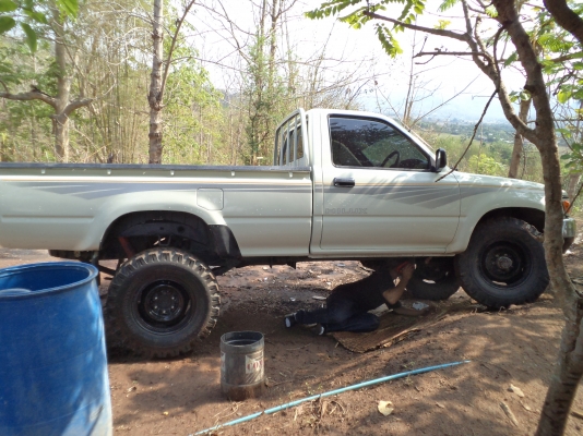 ขายโตโยต้าln 106แท้ ตอนเดียว ดูที่ประกาศ ของ ด.ต.ไพรัช  สุธรรม