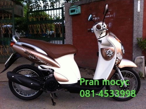 ขายjelatoสีน้ำตาลปี2555