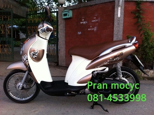 ขายjelatoสีน้ำตาลปี2555