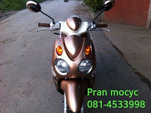 ขายjelatoสีน้ำตาลปี2555