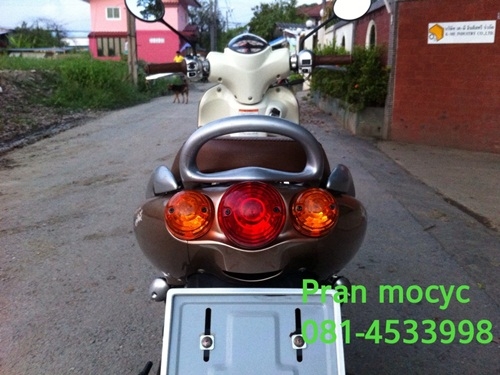 ขายjelatoสีน้ำตาลปี2555