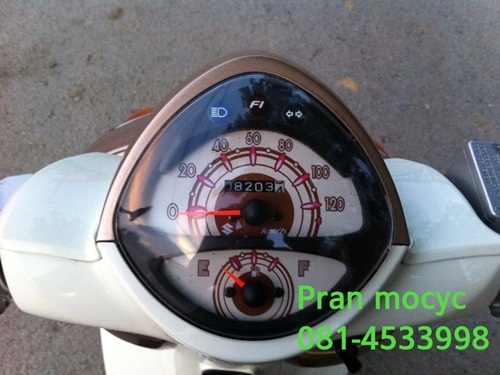 ขายjelatoสีน้ำตาลปี2555