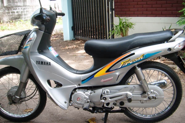 ขาย yamaha เฟชร เดิม เดิม มือ1 ทะเบียนโอนภาษีเต็ม ขาย yamaha เฟชร เดิม เดิม มือ1 ทะเบียนโอนภาษีเต็ม