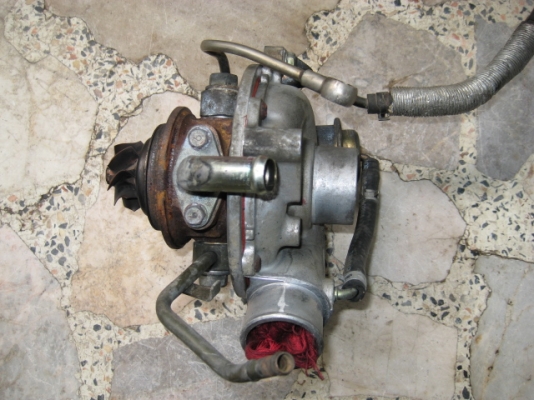 ขายเทอร์โบฟอร์ดสวยๆไม่มีโข่งหลัง 3,500 รับประกันไม่รั่ว