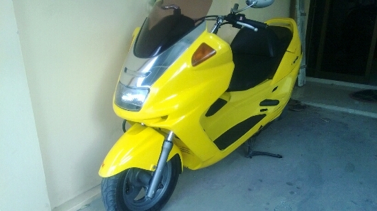 majesty 250y1998 ราคาเบา ๆ มีคลิป