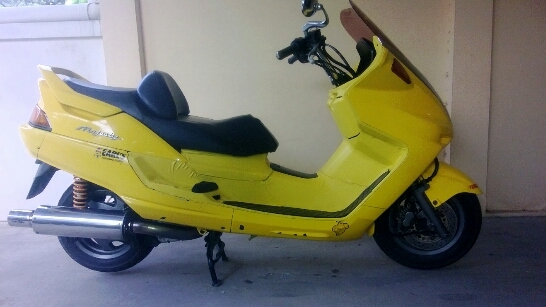 majesty 250y1998 ราคาเบา ๆ มีคลิป