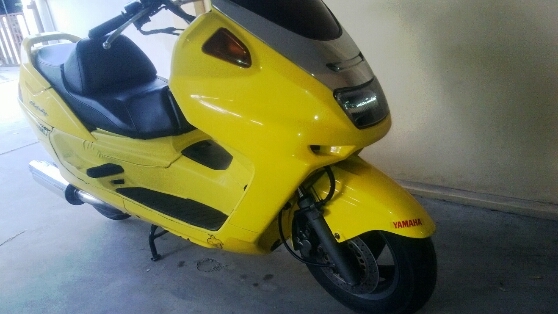 majesty 250y1998 ราคาเบา ๆ มีคลิป