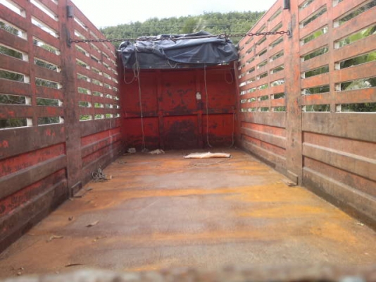 รถอิซูซุ 10 ล้อ รั้ว 230 แรงม้า  ปี 49  สนใจติดต่อ 081 - 6079515