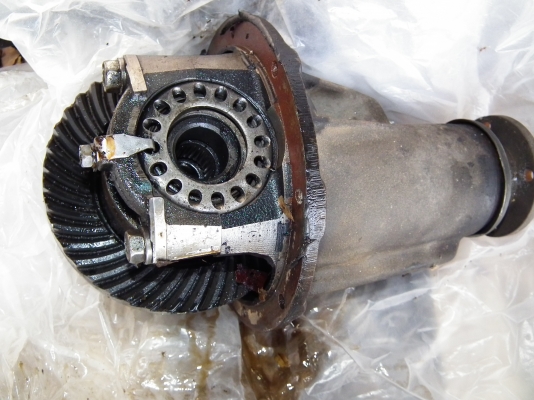 เฟืองแคริเบียน 8/41 หน้าหลัง