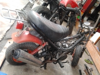 ขายชิปี้ไม่ได้ใช้ราคาถูก5500บาท