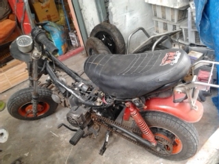 ขายชิปี้ไม่ได้ใช้ราคาถูก5500บาท