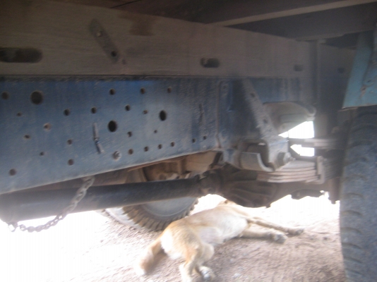 ขาย6ล้อเล็ก NKR88 รถบ้านเดิมๆ