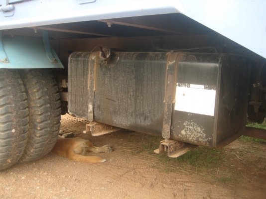 ขาย6ล้อเล็ก NKR88 รถบ้านเดิมๆ