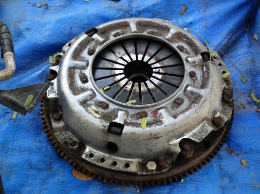 ขายฟลายวีน-หวีคลัช-แผ่นคลัช