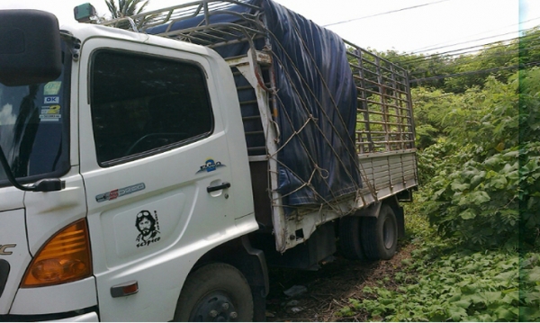 HINO  MEGA FC    ปี 49  รถ  6  ล้อ  รถล่อง  1 เพลา  เครื่องเดิม 150  แรงม้า  เกียร์เดิม พพ่วงมาลัยเพาเวอร์
