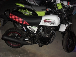 ขายลี่ฟาน โพนี่ 100ไมล์ดิจิตอล