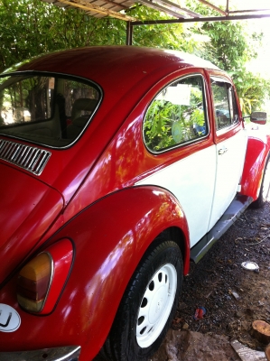 ขายรถเต๋า ปี 1970 1600 CC.