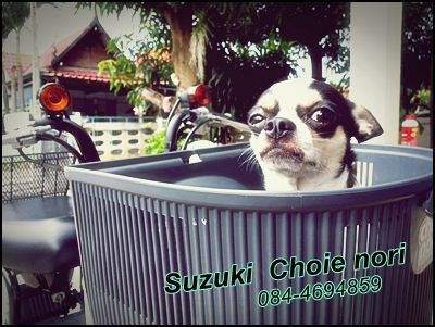 Re: ขายรถป๊อบๆ Suzuki Choienori มีสองคันสภาพนางฟ้าของครบ