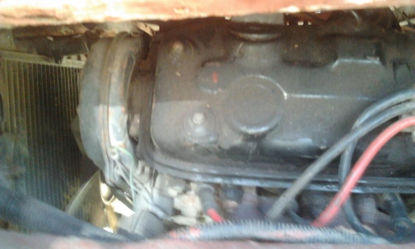 ขายกะป๊อ st 20