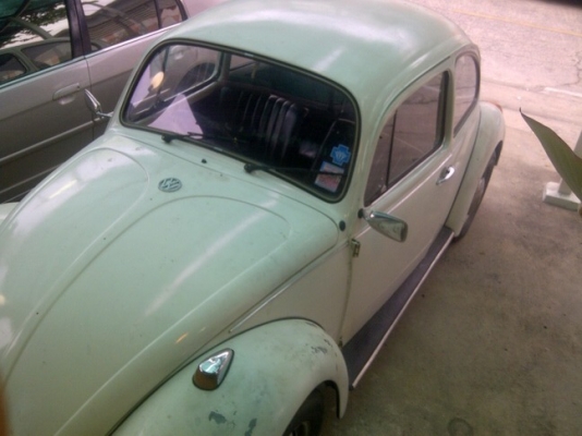 ขายเต่า ปี 1971