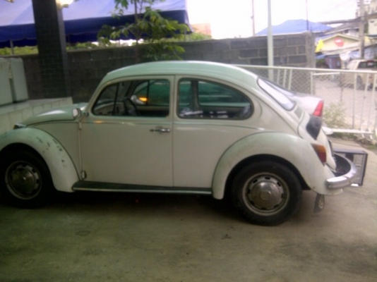 ขายเต่า ปี 1971