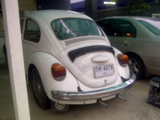 ขายเต่า ปี 1971