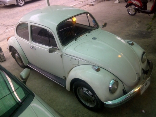 ขายเต่า ปี 1971