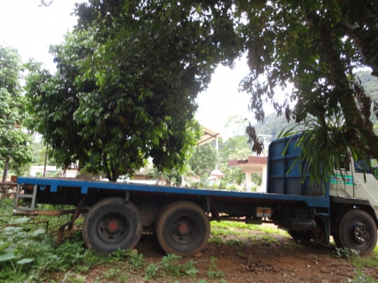 MITUBISHI FUSO หัวเปลี่ยน เครื่องเดิม คัซซีสวย คุณธรนิศ จ.สิงห์บุรี มัดจำมาแล้ว 20,000 บาทค่ะ MITUBISHI FUSO หัวเปลี่ยน เครื่องเดิม คัซซีสวย คุณธรนิศ จ.สิงห์บุรี มัดจำมาแล้ว 20,000 บาทค่ะ