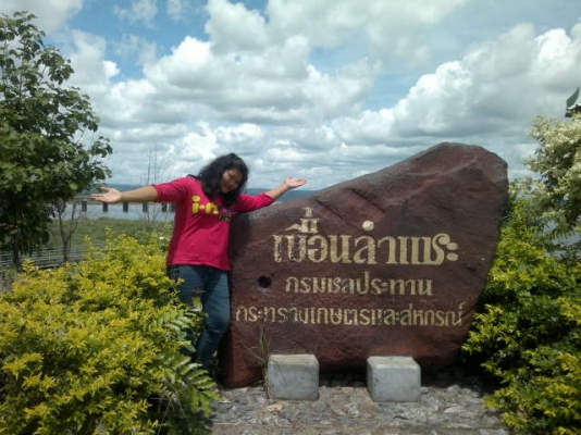 ขายรถไถฟอร์ด