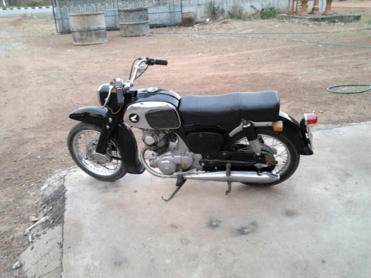 ขายหมู C92  ชาลี  YL2