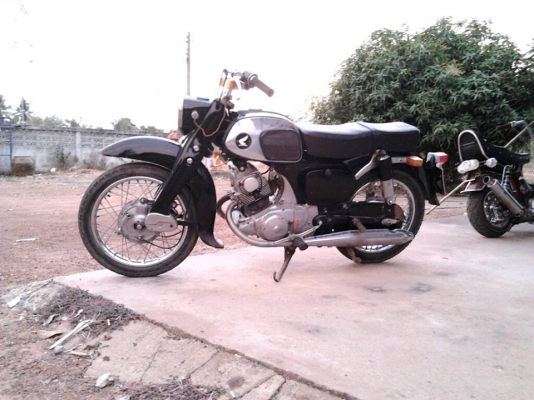 ขายหมู C92  ชาลี  YL2