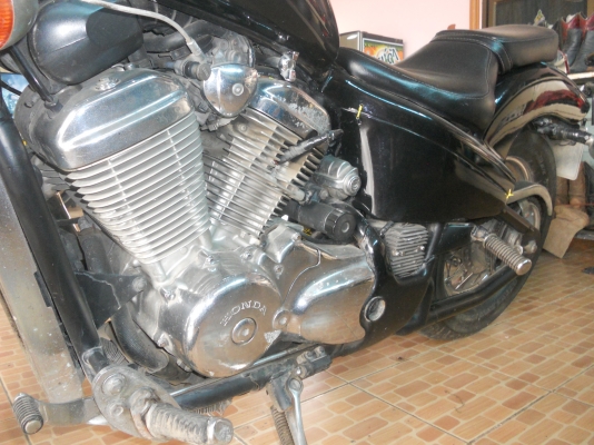 ขายsteed600 ทะเบียน