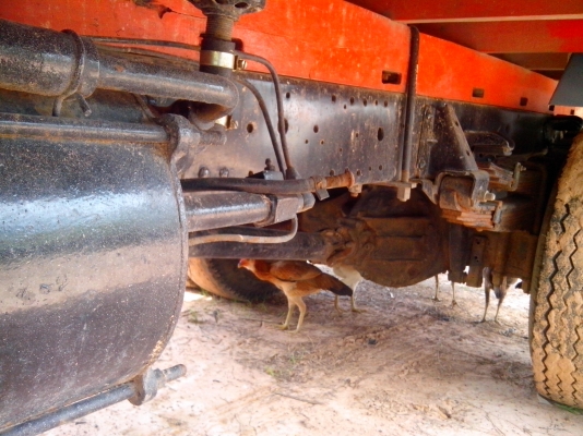 ขายด่วน NPR 120 ฝาดำ ปี 38