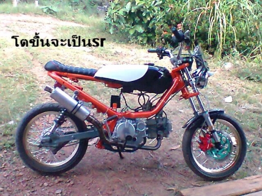 ขายชิปปี้แปรงถังหน้าราคากันเอง  สนใจติดตอ 0822596034  อยากรุ้โทรมาเรยคุ้ม