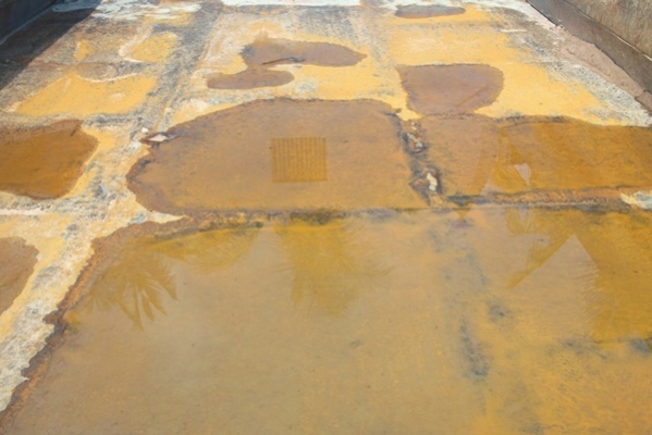 NPR  115 Fหน้าหลัง  สวยพร้อมลุย  เล่มทะเบียน