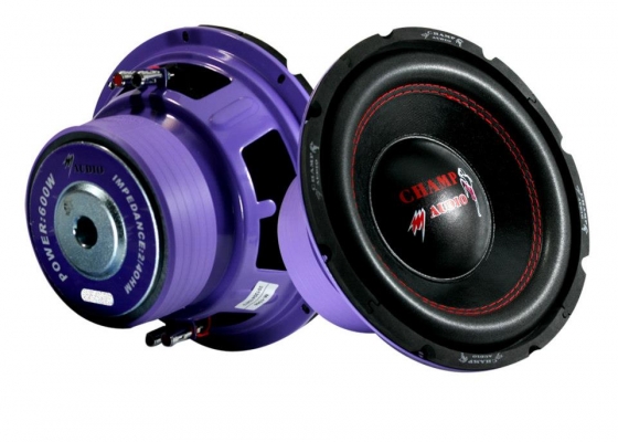 ซัฟ10นิ้ว โครงเหล็กปั้ม วอยล์คู่ แม่เหล็ก2ก้อน