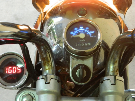 monkey stallions momo 125 limited