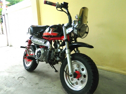 monkey stallions momo 125 limited