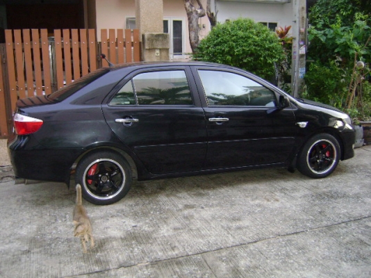 ขายอะไหล่ วีออส2003   สปริงโชคอัพ